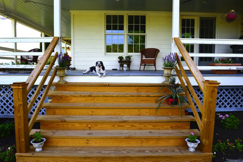 Deck Steps Repair in Wilmington, NC